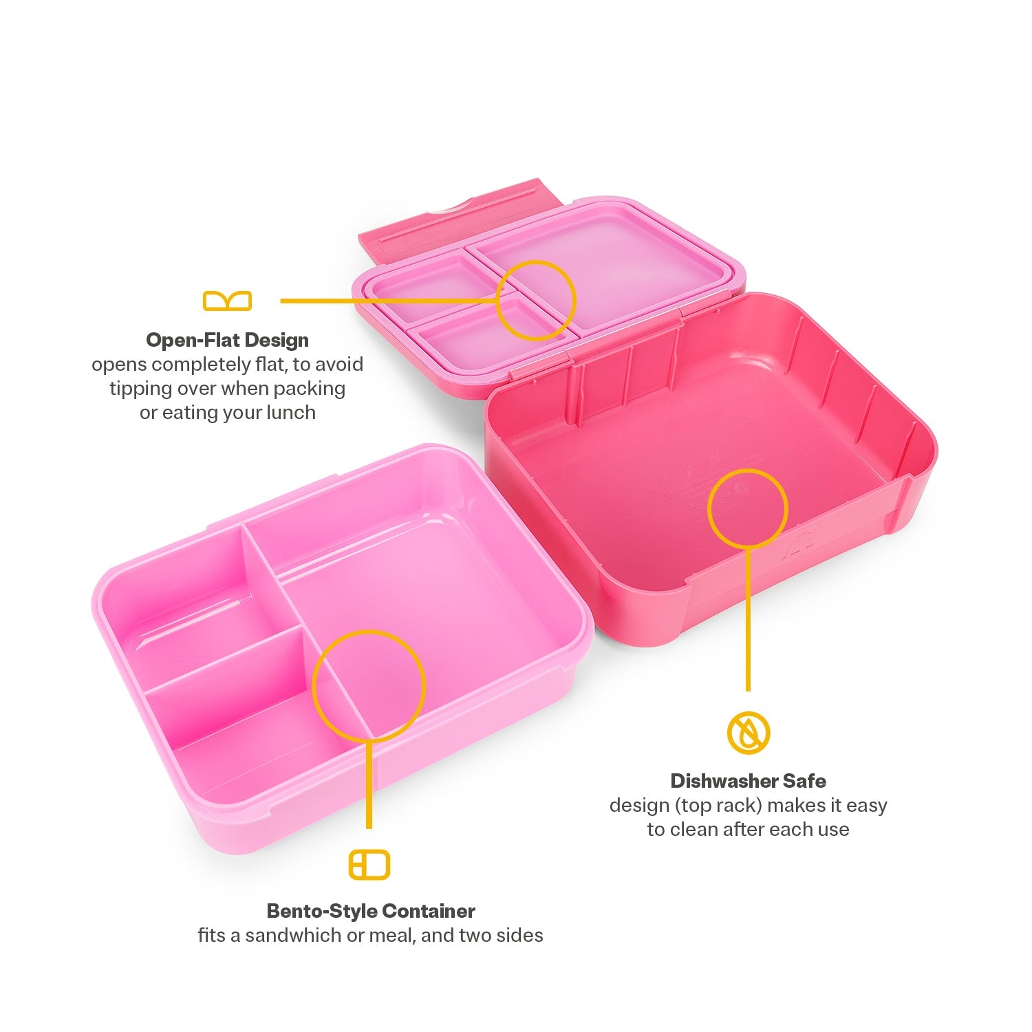 Day Packer Lunch Container